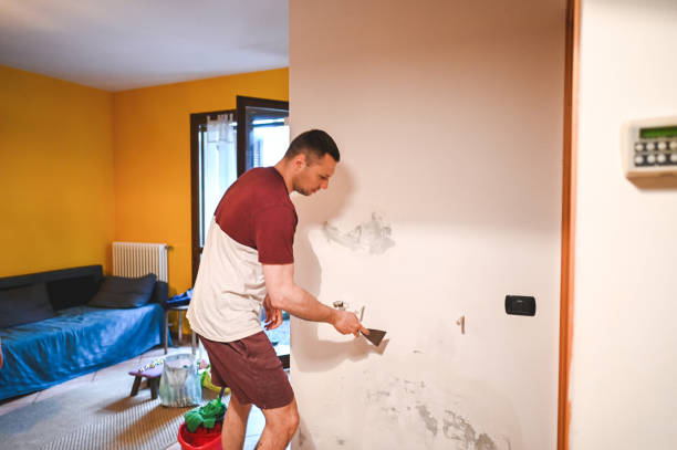 Best Black Mold Removal  in Lmyra, PA